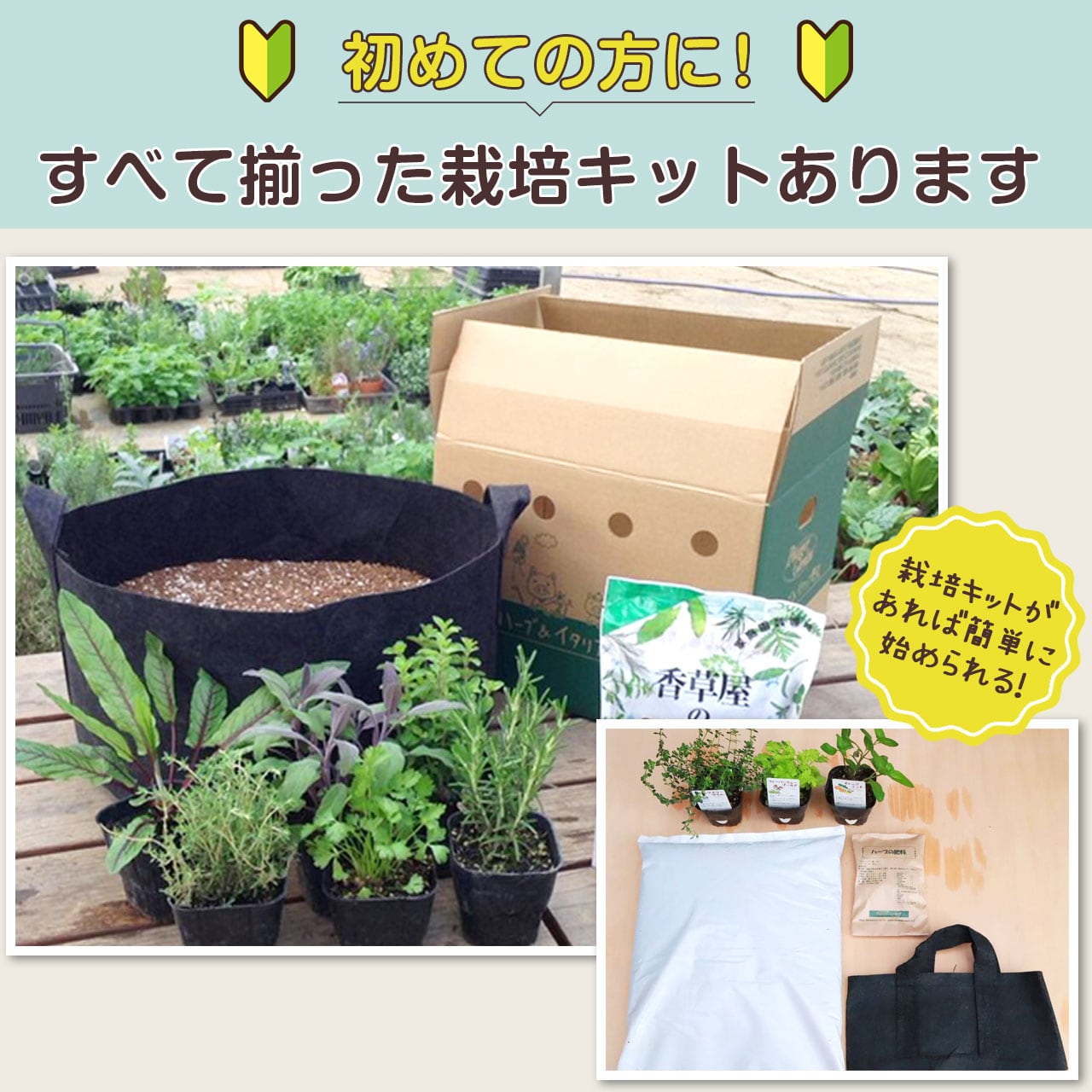 ハーブ苗 3個 お試し | ハーブ苗のポタジェガーデン 本店