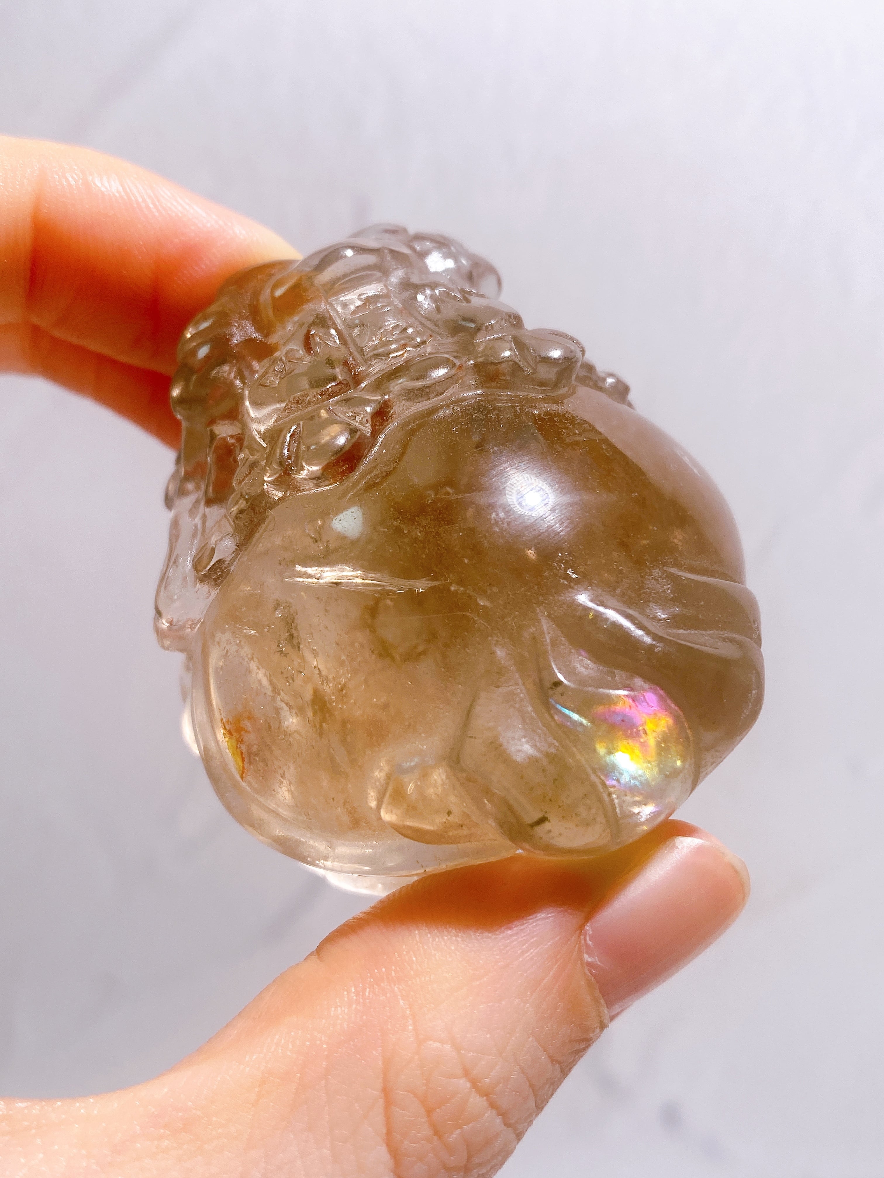 龍亀(ロングイ) | 9rinto