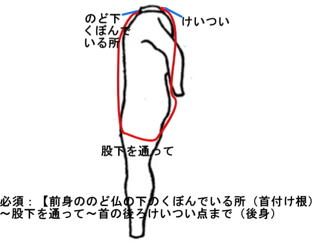 サーフィンスキン5mmロングジョン肩ベルクロwsm1705fs（フル