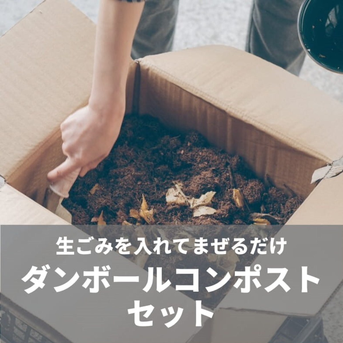 ダンボールコンポストセット | NPO法人 循環生活研究所 オンラインショップ