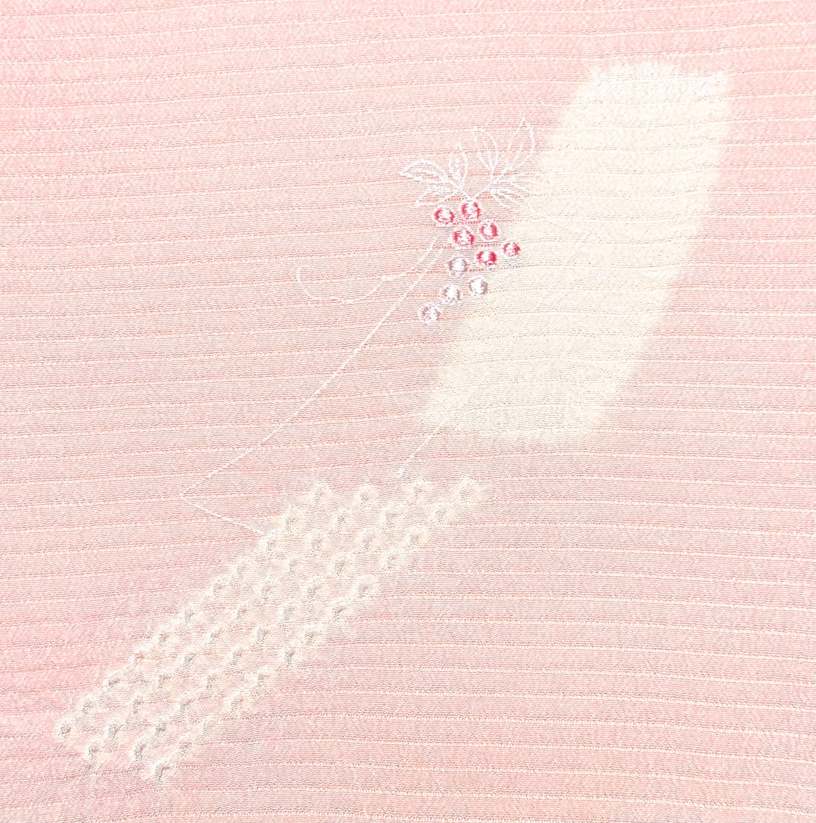 夏用　絽　付け下げ　刺繍　金彩　葡萄　ぶどう　着物　054k p 涼やかな夏の着物のお出かけに 絽素材100％ 京絞り帯あげ 葡萄柄刺繍