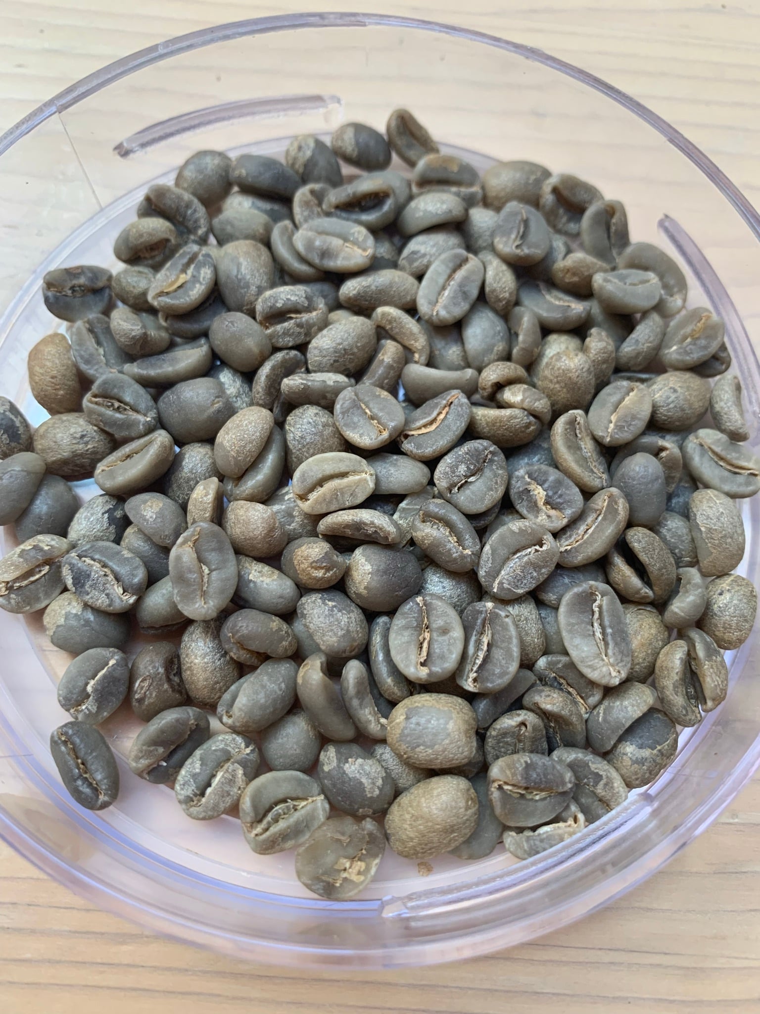 東ティモール コカマウ コーヒー豆 150g （フェアトレード