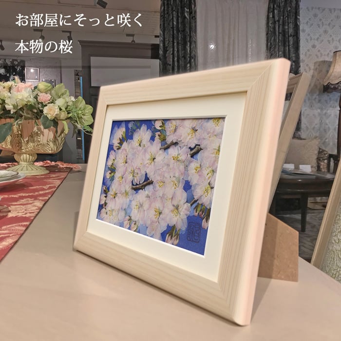 本物のお花の押し花アート｜桜（ソメイヨシノ）フレームギフト | 庄村