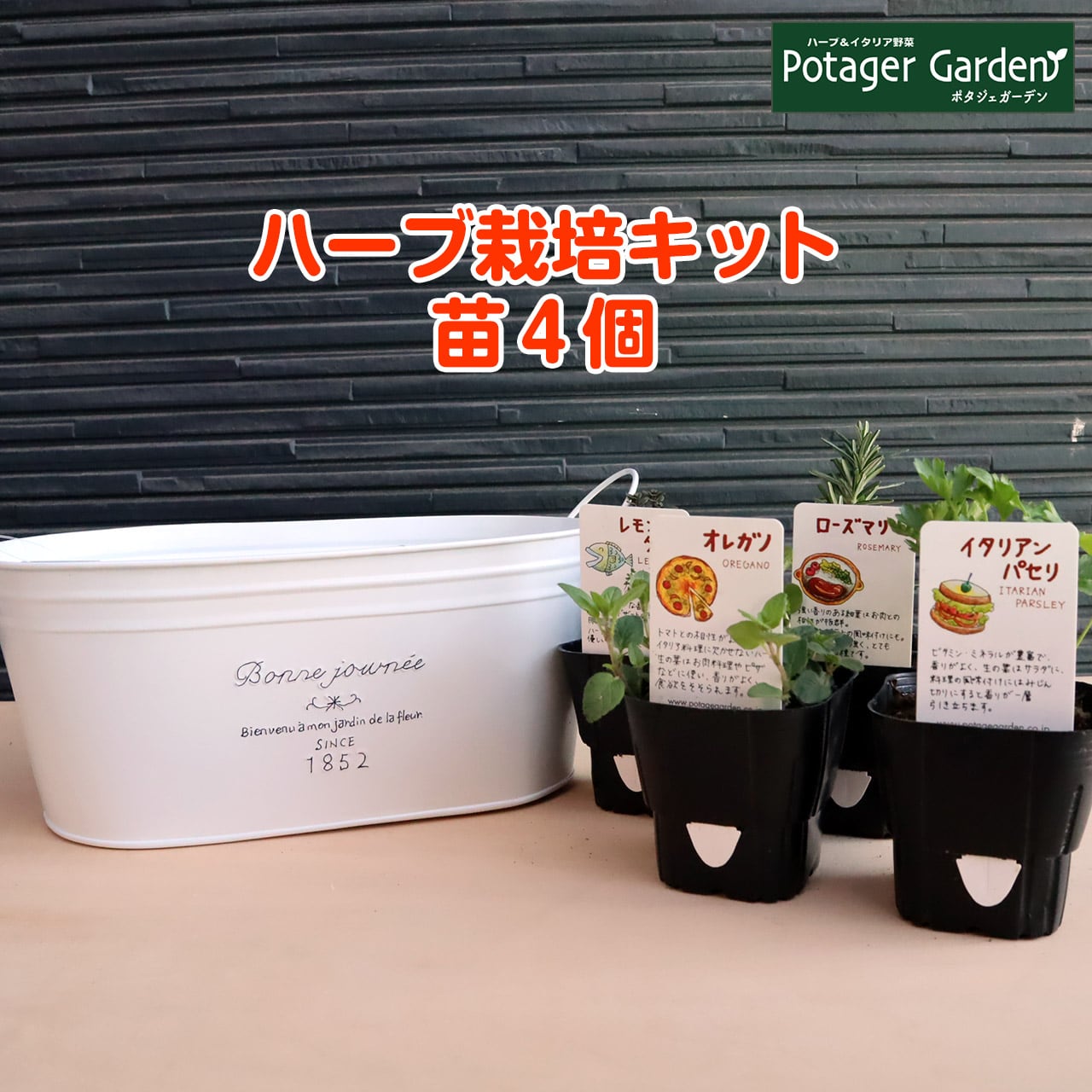 ハーブ 栽培キット フレンチブリキ 苗4個 | ハーブ苗のポタジェ