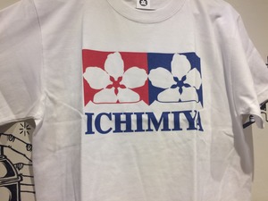 ICHIMIYA T's