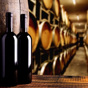 本間昭光 60歳記念セレクションワイン 2025【2本セット(赤・白)】