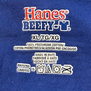 【Hanes】イラスト メッセージ Tシャツ アーチロゴ　BEEFY-T XL ビッグサイズ ヘインズ US古着 アメリカ古着