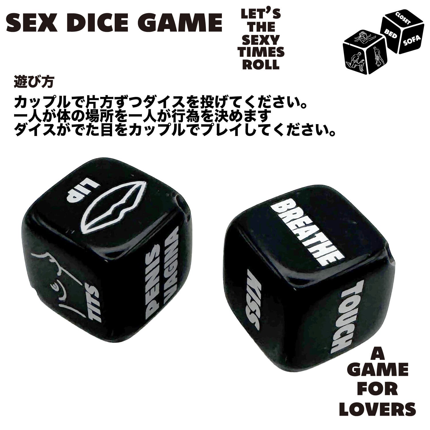 THE GENERAL STORE SEX DICE PENDANT セックスダイス ペンダント | USA