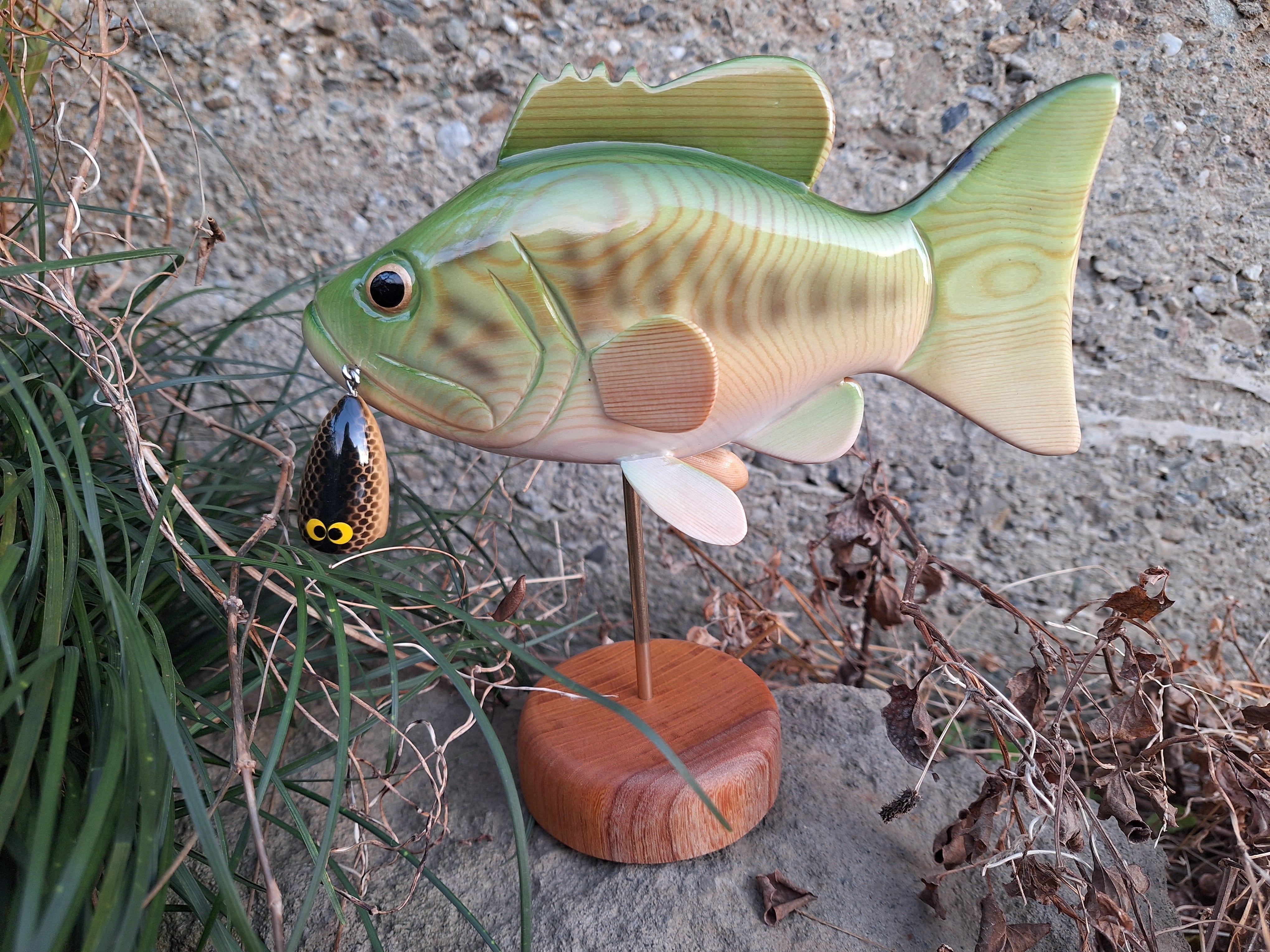 I's wood work's × 魚類剥製工房かげろう 水無月 90S ② 魚類剥製 | 魚類剥製工房 かげろう