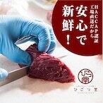 新鮮馬刺し 特選霜降りB【100g】