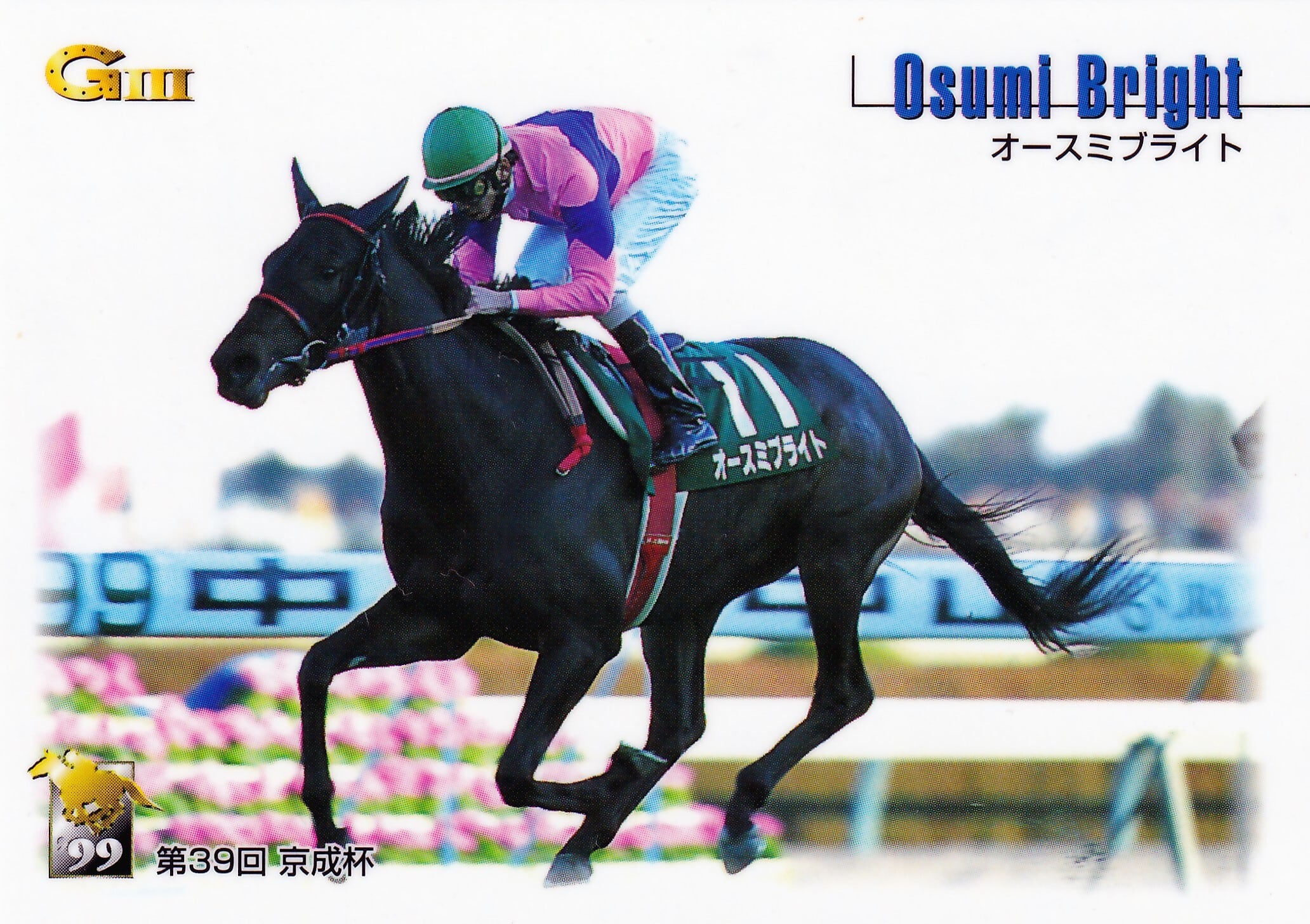 メイセイオペラ：第22回 帝王賞「サラブレッドカード 99年上半期」No
