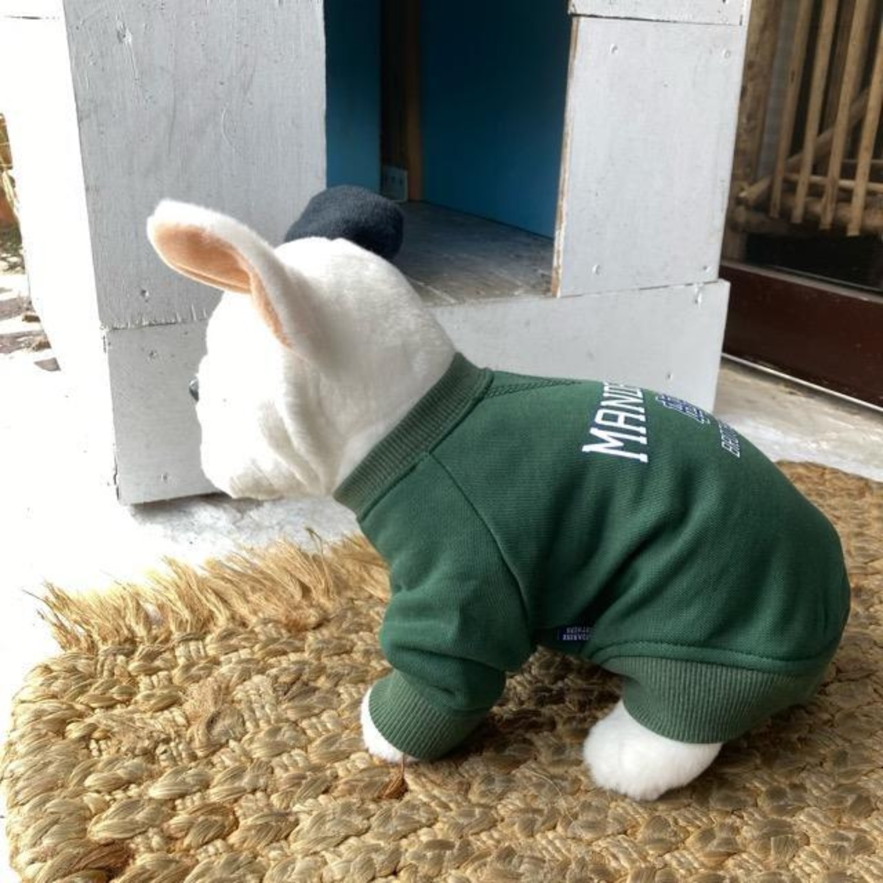 DOG WEAR　カレッジロゴスウェット  　XLBサイズ　全2色