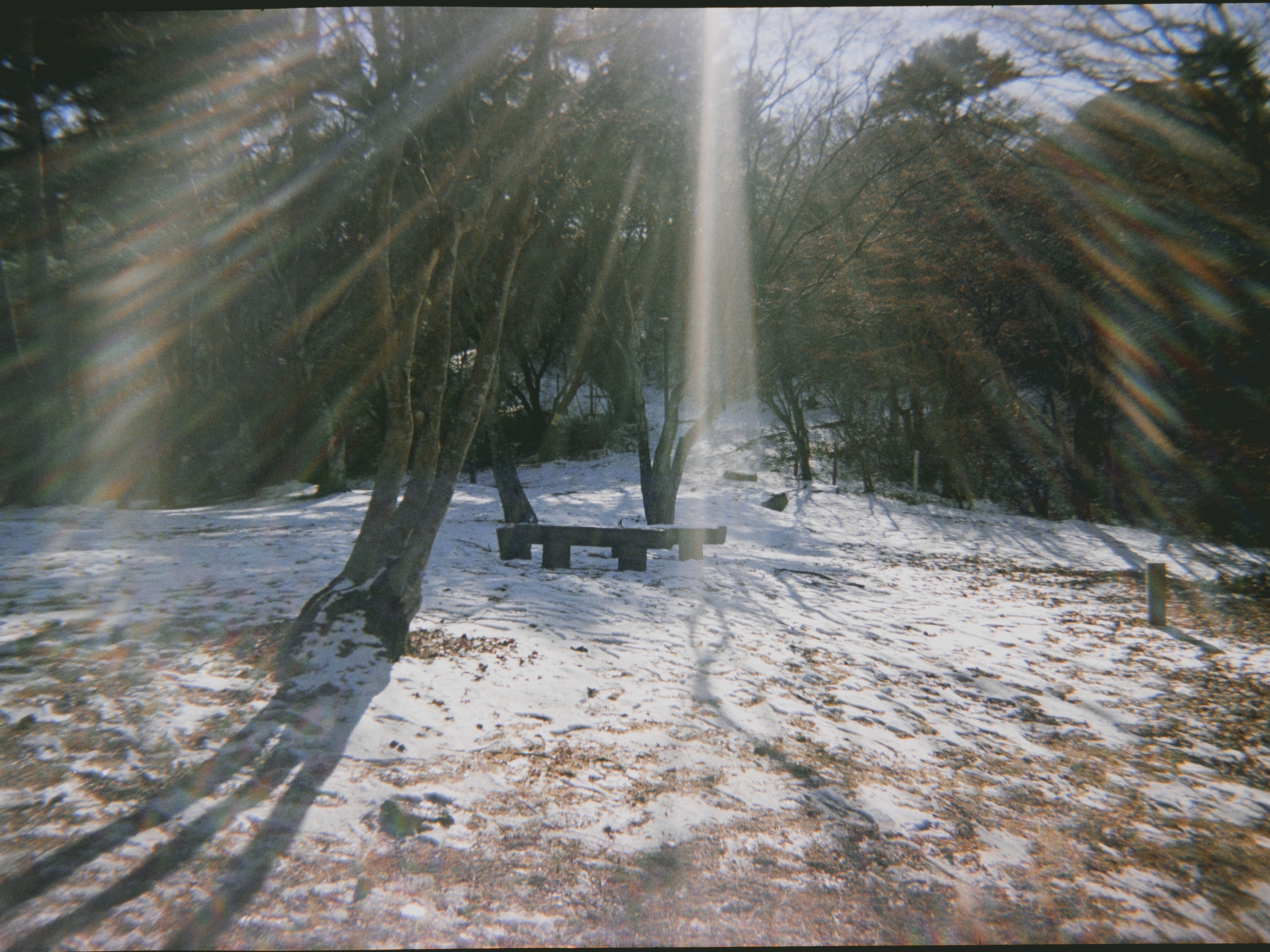 FILM NEVER DIE／NANA CAMERA LIMITED EDITION フィルムネバーダイ