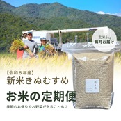 【毎月】玄米5kg｜徳地きぬむすめ｜農家直送 山口県｜ 送料無料（北海道、沖縄を除く）
