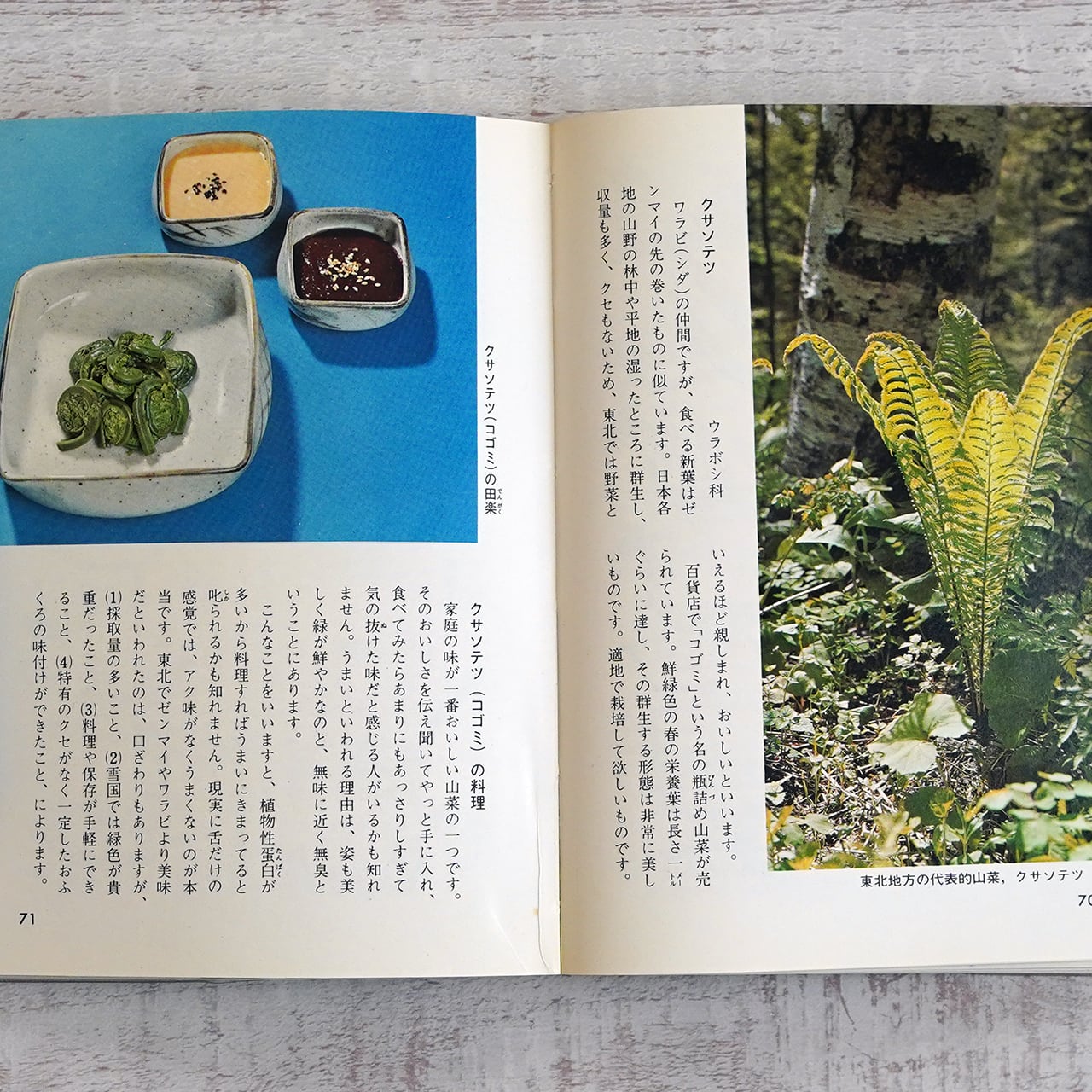 山菜入門 -採取と料理- 山田幸男 (カラーブックス323) | タイムカプセル