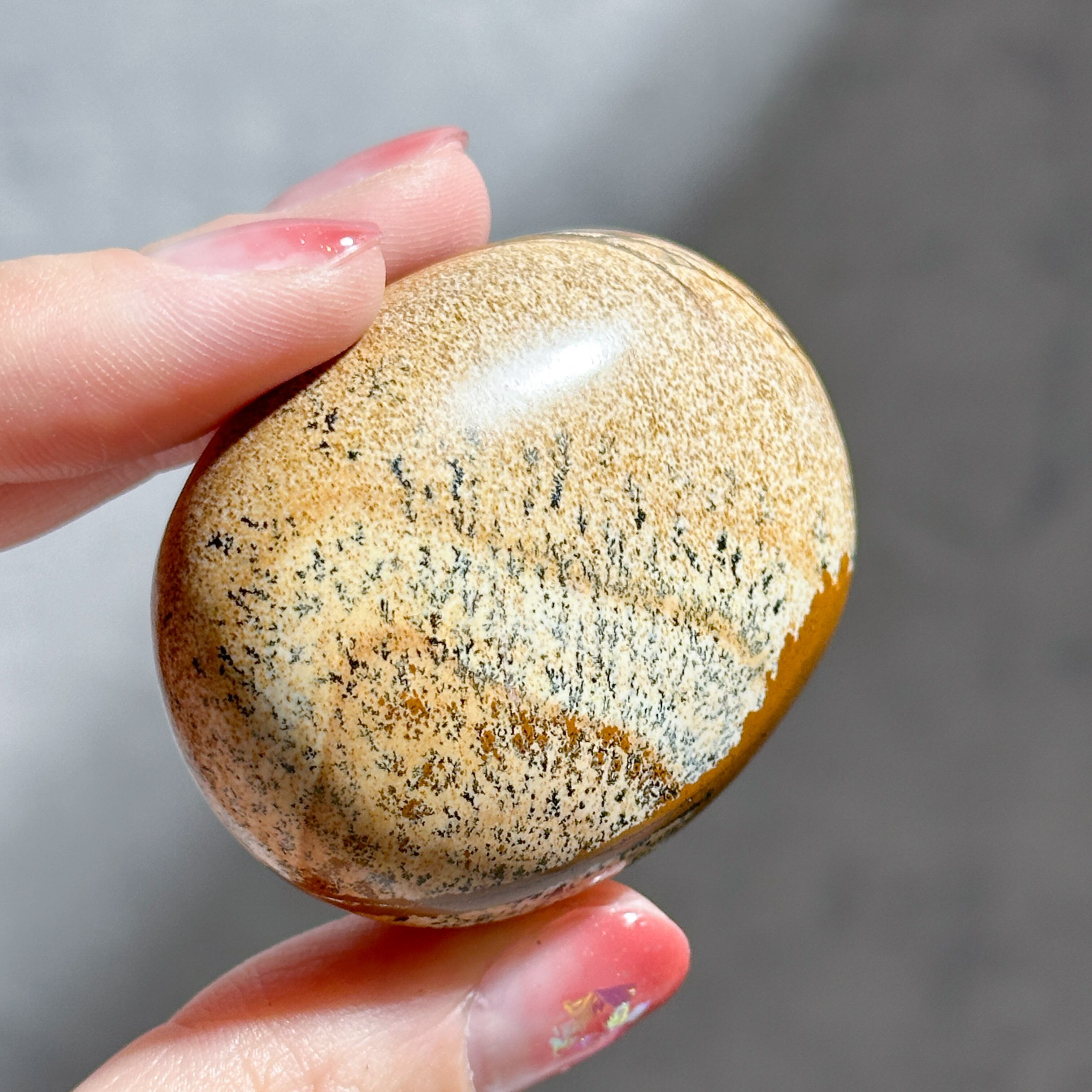no.031 天狼のピクチャージャスパー　一点物 ピクチャージャスパー パームストーン21◇ Picture Jasper ◇ 天然石