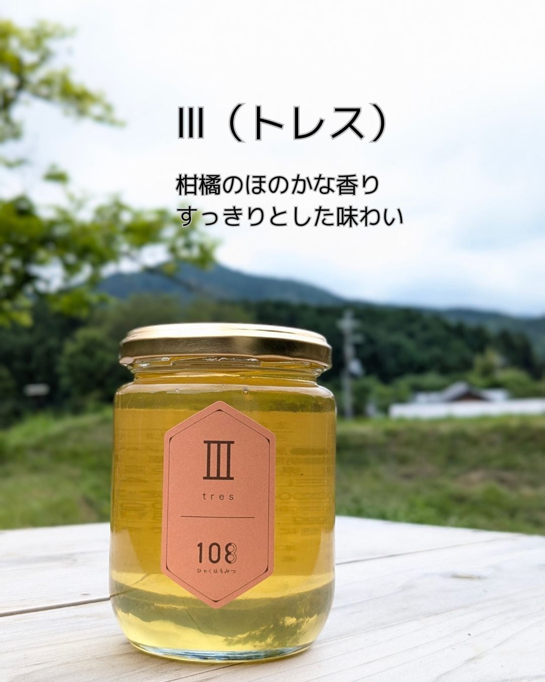 みつばち農園 La aldea
