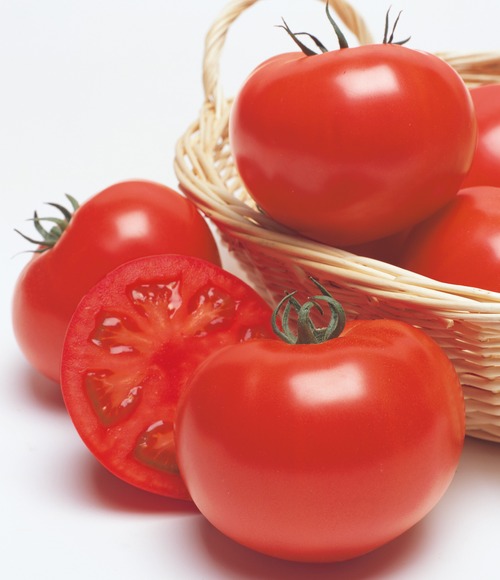 トマト 「桃太郎グランデ」（1000粒） 画像