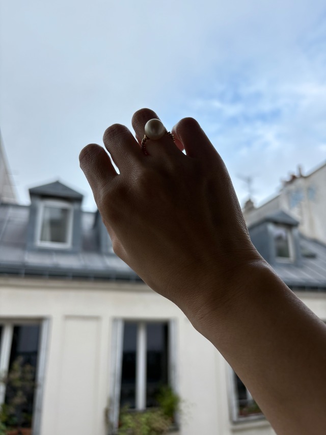 カリーヌパリ オーダーcpu