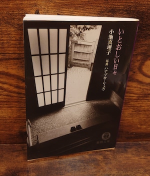 いとおしい日々(徳間文庫) いとおしい日々(徳間文庫)