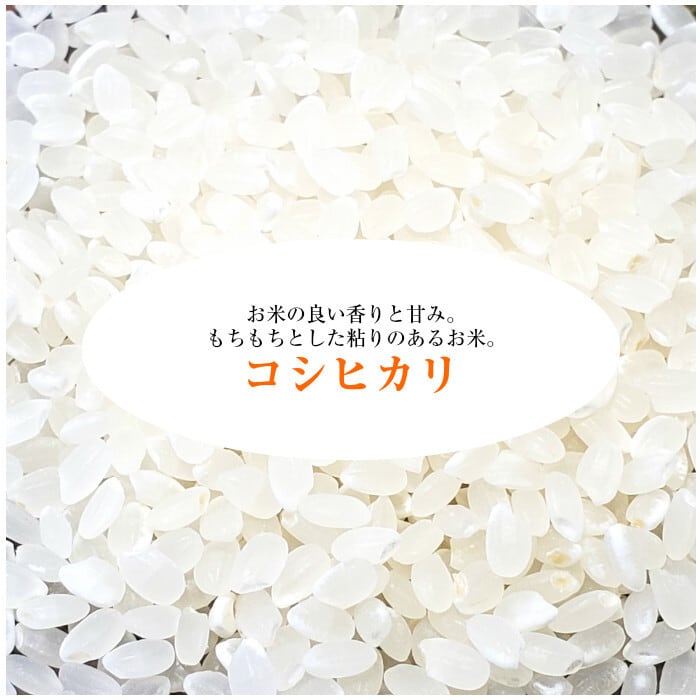 島根県産　コシヒカリ 10kg pd_d4cdbca8aeedacf4560f17f5244