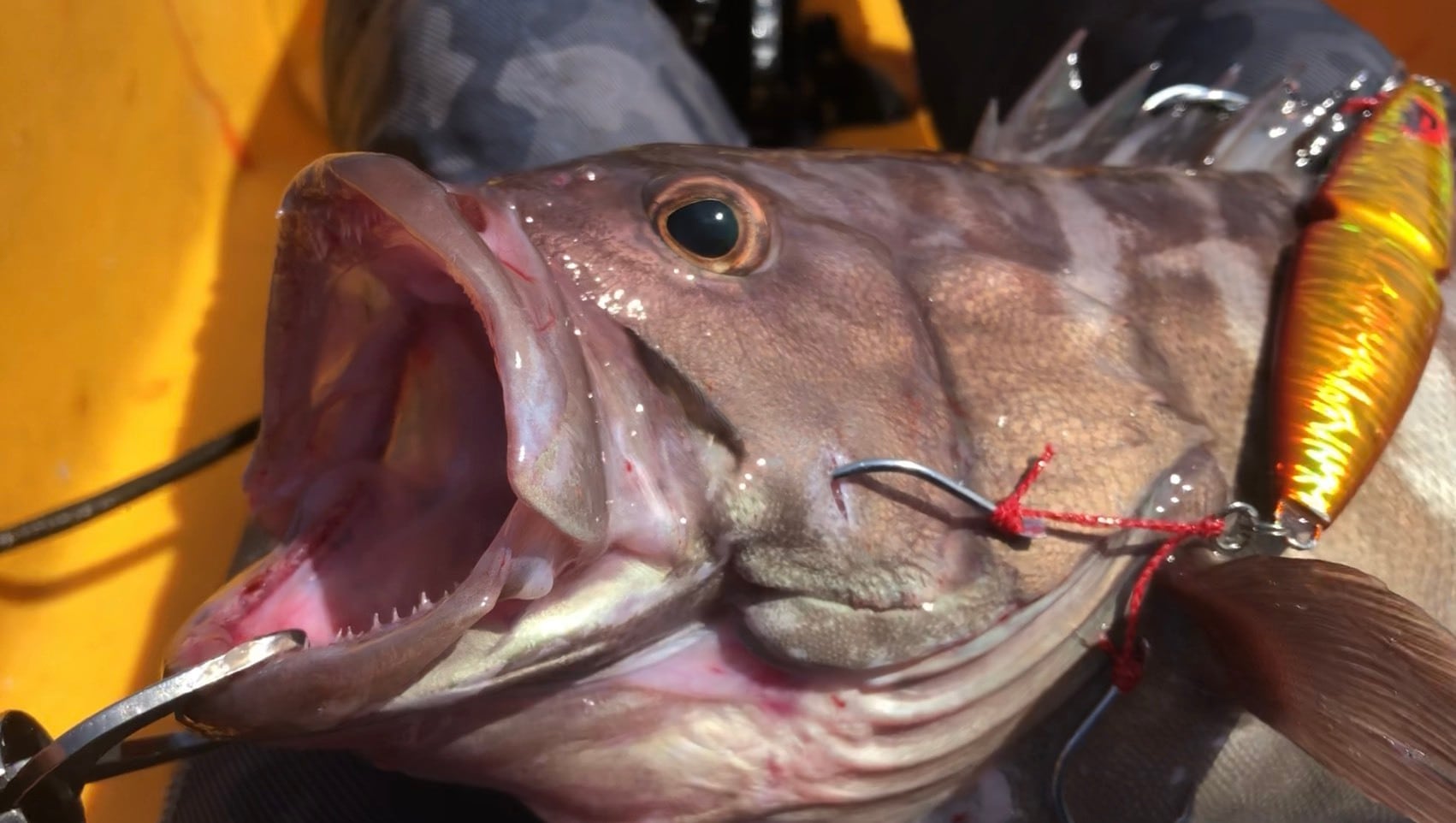 FMB JAPAN ZEN 禅 120g | LifeFishingJAPAN SELECTSHOP