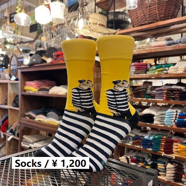 TOPANGA SOCKS Lady's　2匹の犬と風船ソックス