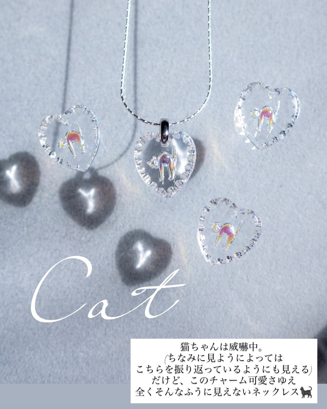 [Outlet]Cat (aurora)(2607-2)