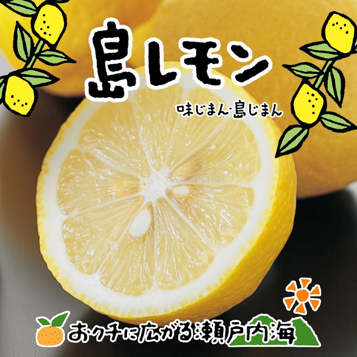 柚子　約2キロ　6〜7分　無農薬　愛媛県産　価格比較