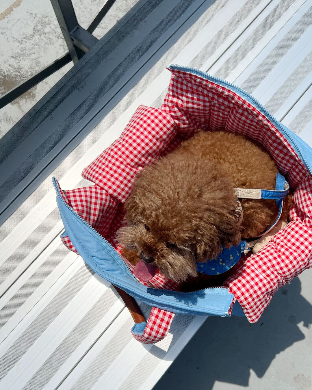The Honey Bunch Bag Sサイズ（Aqua Blue） / monchouchou | PANNA HOUSE