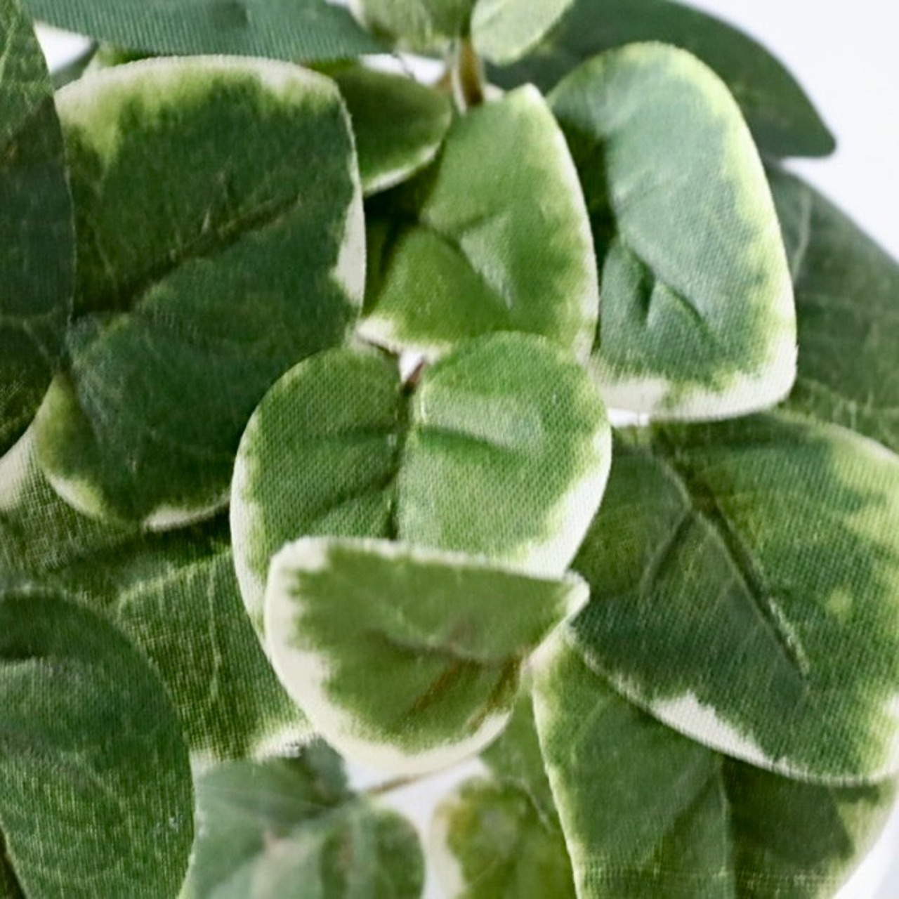プミラ 斑入り フェイクグリーン 観葉植物 造花 卓上グリーン ミニ観葉植物 インテリアグリーン H約15cm
