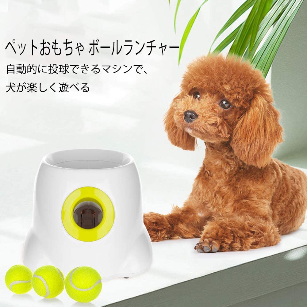 楽天市場】Pet Prime ボールランチャー 犬 おもちゃ ボール 自動