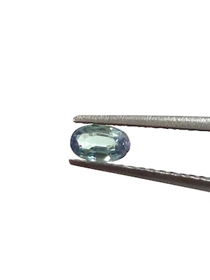 17.コーネルピン［No.U-3667］