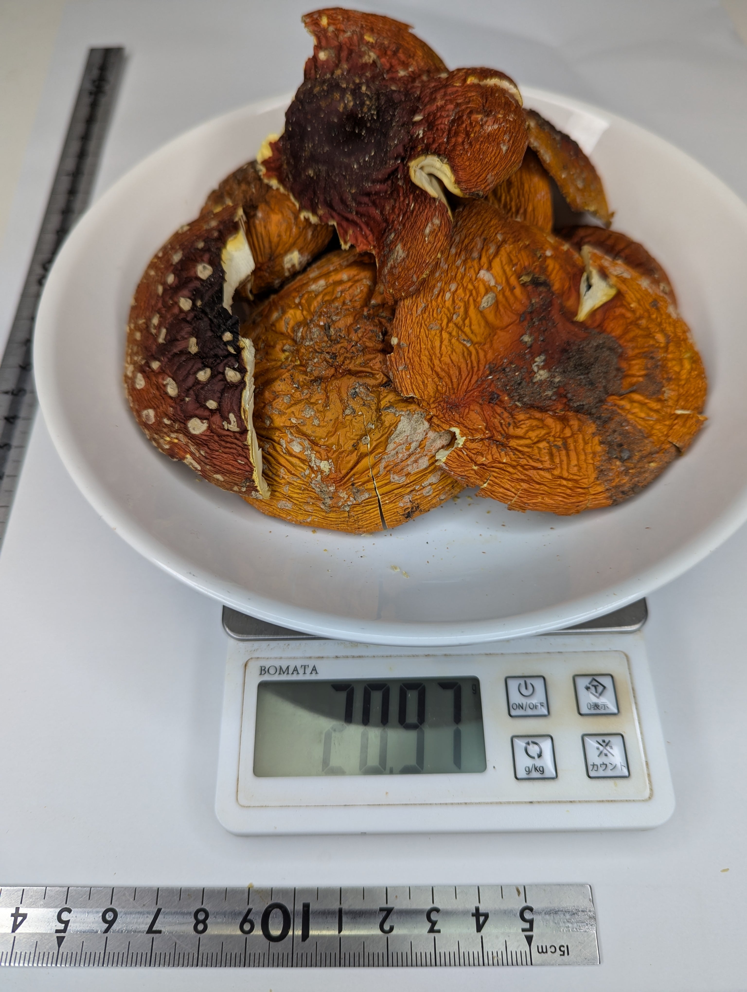 販売を一時停止中 | Nyakoの特別なハーブショップ