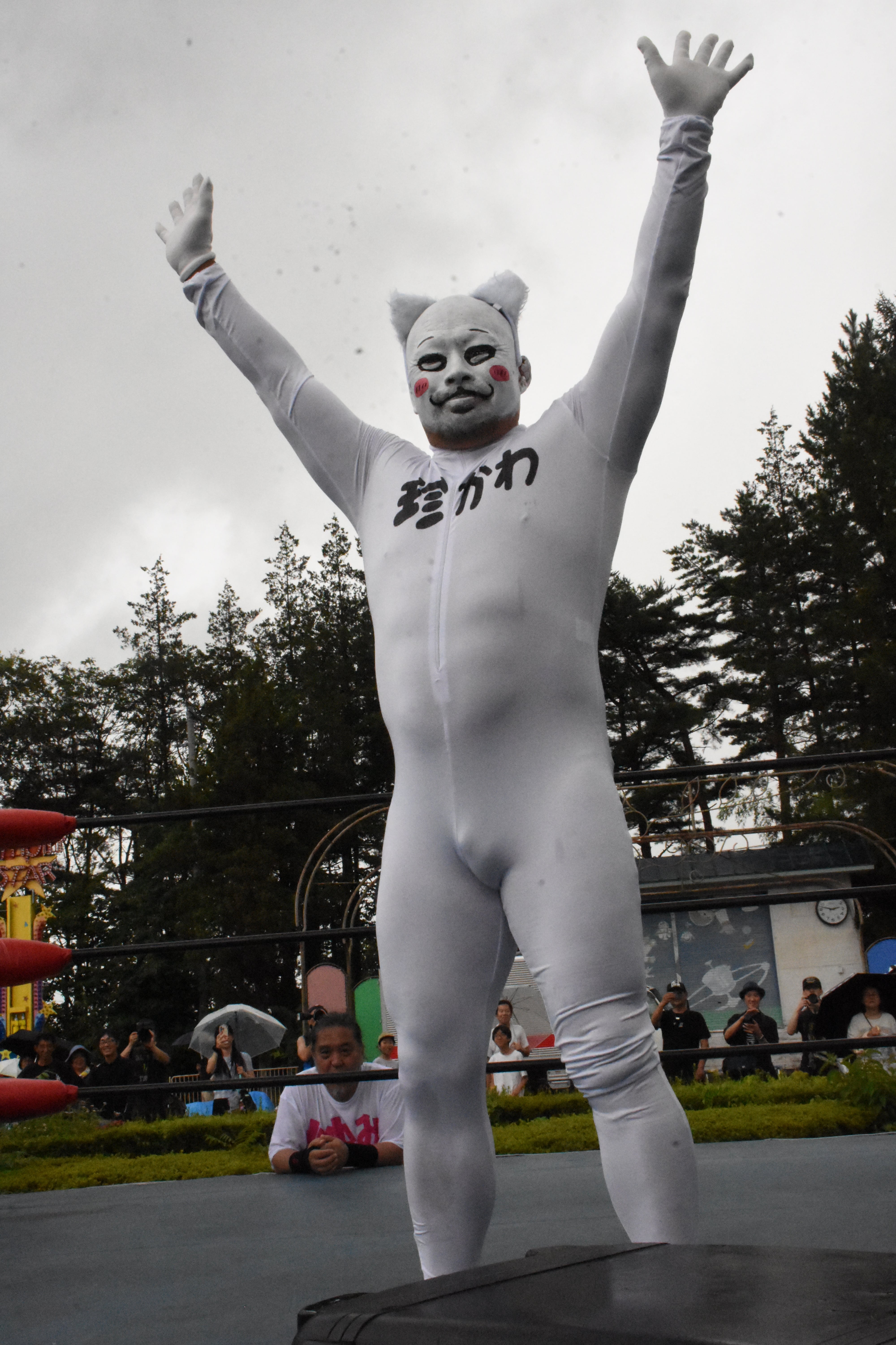 プロレスアルバム ドリーファンクJr | みちのくプロレス「プロレス