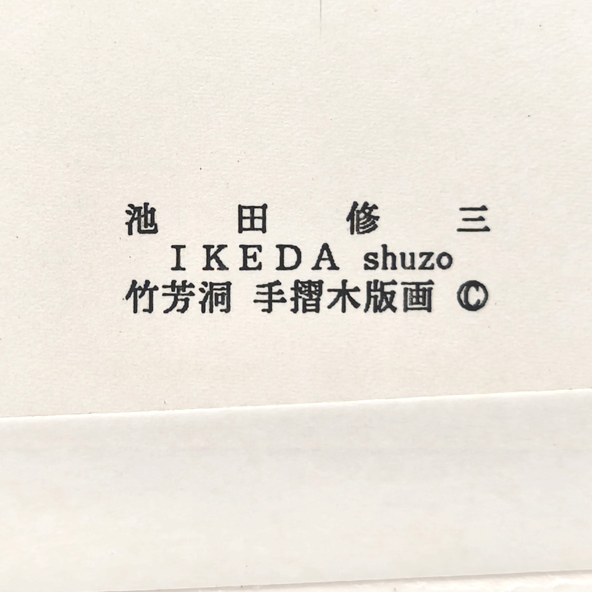 池田修三・『小さな花』・手摺木版画・竹芳洞・No.250416-25・梱包サイズ80