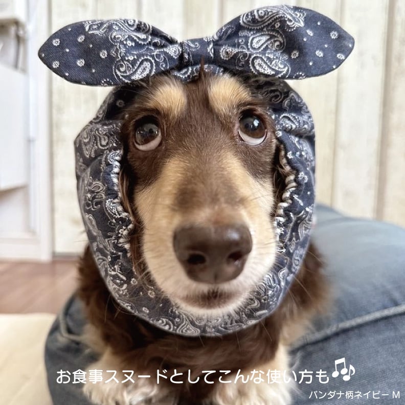 ダックス柄追加！わんこのうさみみリボンのクールネック