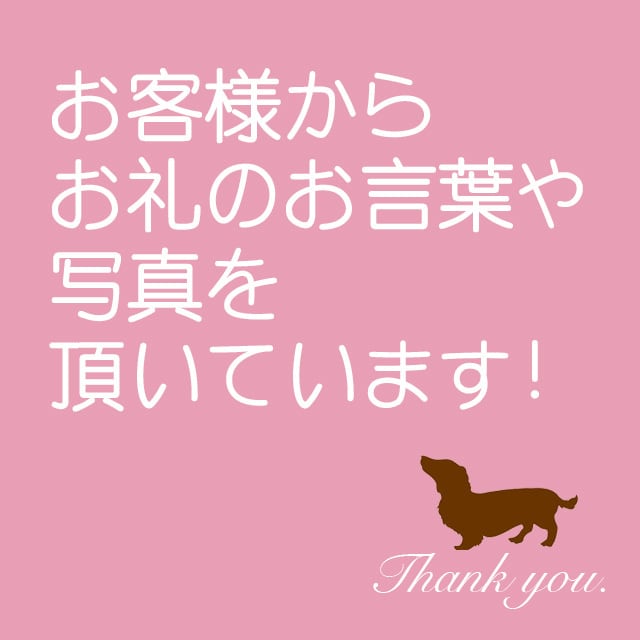 Petit Bijou【正規輸入】エリカドレス　ワンピース　ピンク/ブルー 2-161112-0061