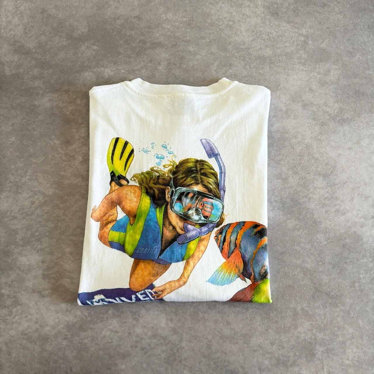 90s USA製 フォト Tシャツ 古着 | DIZ 