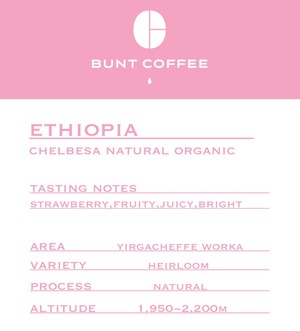 Ethiopia chelbesa natural organic 100g