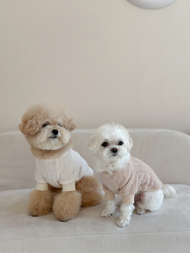 〈予約アイテム〉EYOU  トップス / ベルベティセーター (ピンク)