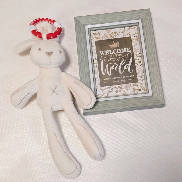 【12/21まで特別価格】¥20,000→¥10,000 出産祝い 豪華ギフトボックス 60サイズ ボタニカルグリーン ベビーグッズ プレゼント 女の子 ギフト 秋生まれ冬生まれ