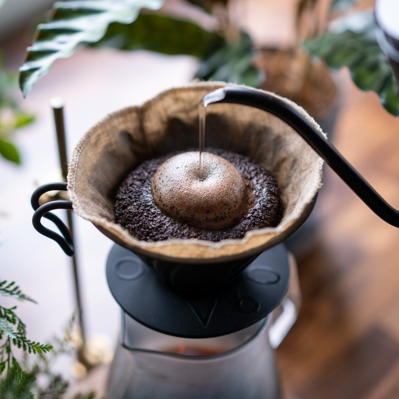 ケニア AB トップクィーンアリーア 200g | DIFFERENT COFFEE ROASTER