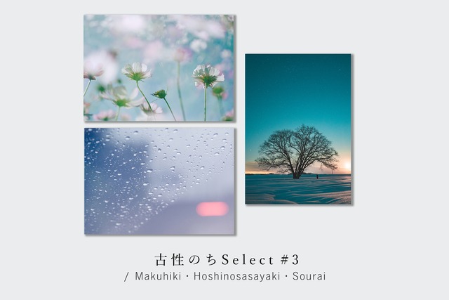 古性のちselect 写真パネルset「雨色」（A3サイズ）