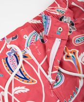 【SUNS】PAISLEY SIDE LINE BOARDSHORTS［RSW072］