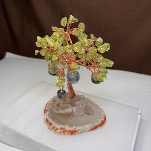 りんごがなる招財樹・ペリドット