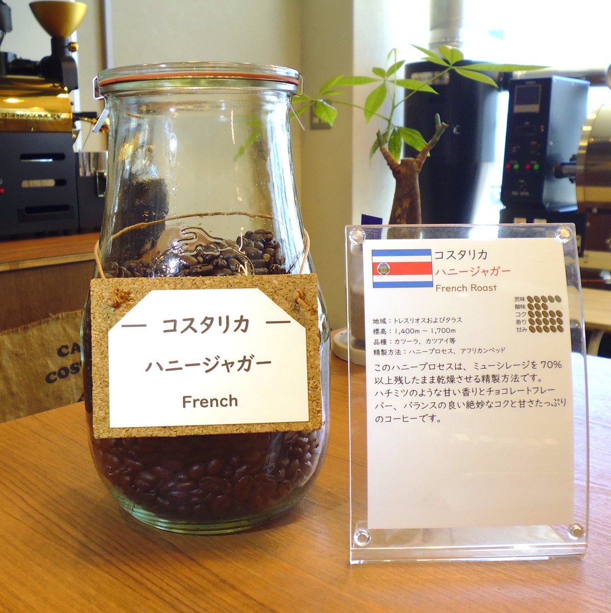 コスタリカ ハニージャガー フレンチ