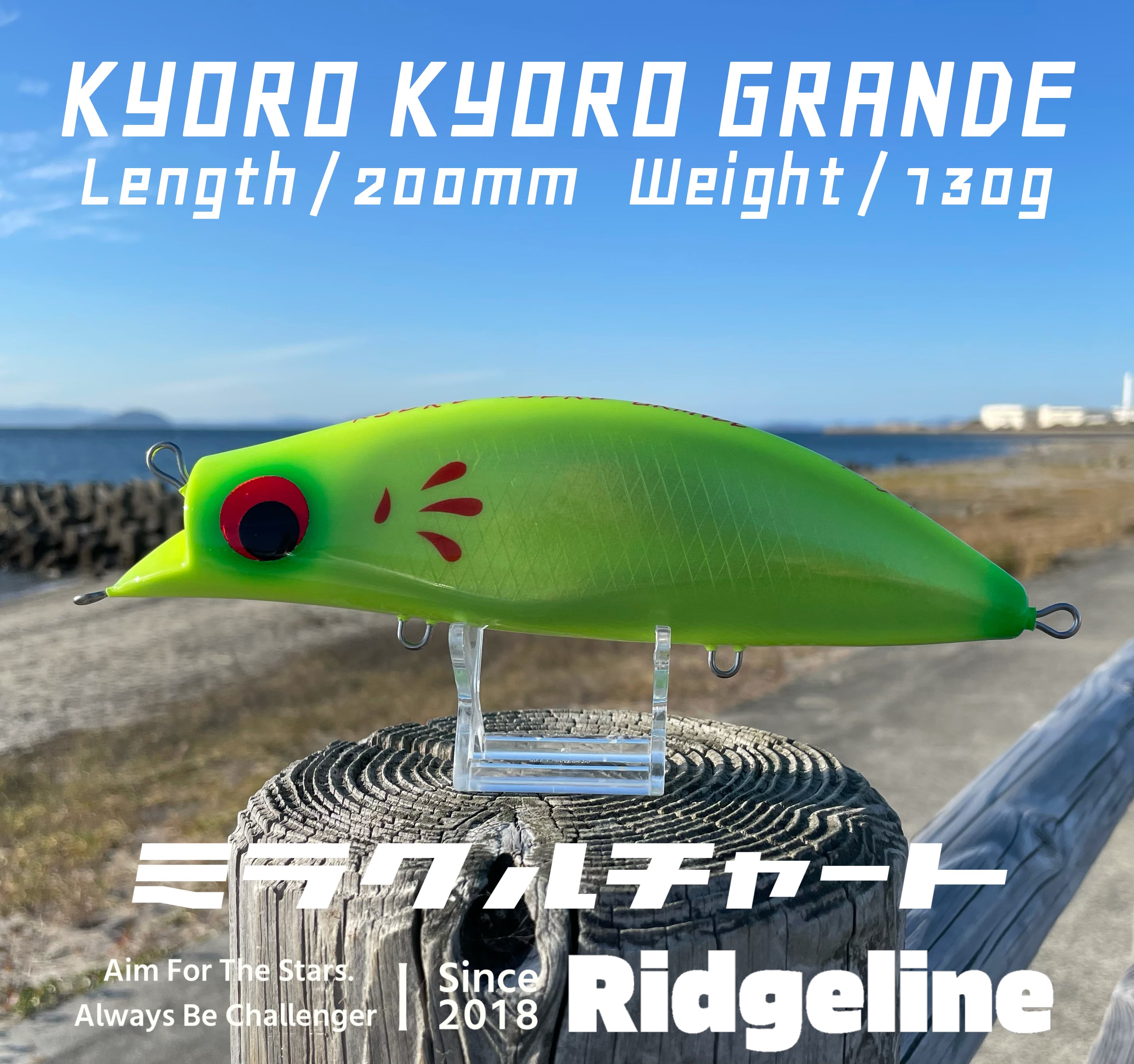 キョロキョログランデ ミラクルチャート Ridgeline Online Shop