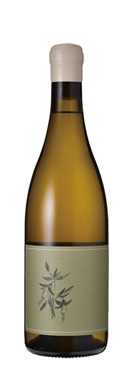 アルノー・ロバーツ リボッラ・ジャッラ ヴェア・ヴィンヤード ナパ・ヴァレー　20　Arnot-Roberts Ribolla Gialla Vare Vineyard Napa Valley 20
