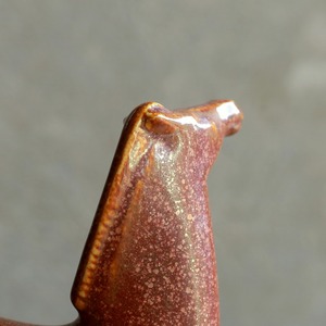 凛々しい表情の、茶色く滑らかな馬